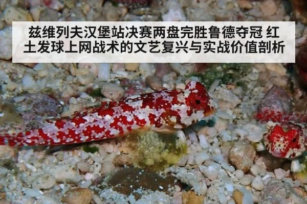 兹维列夫汉堡站决赛两盘完胜鲁德夺冠 红土发球上网战术的文艺复兴与实战价值剖析